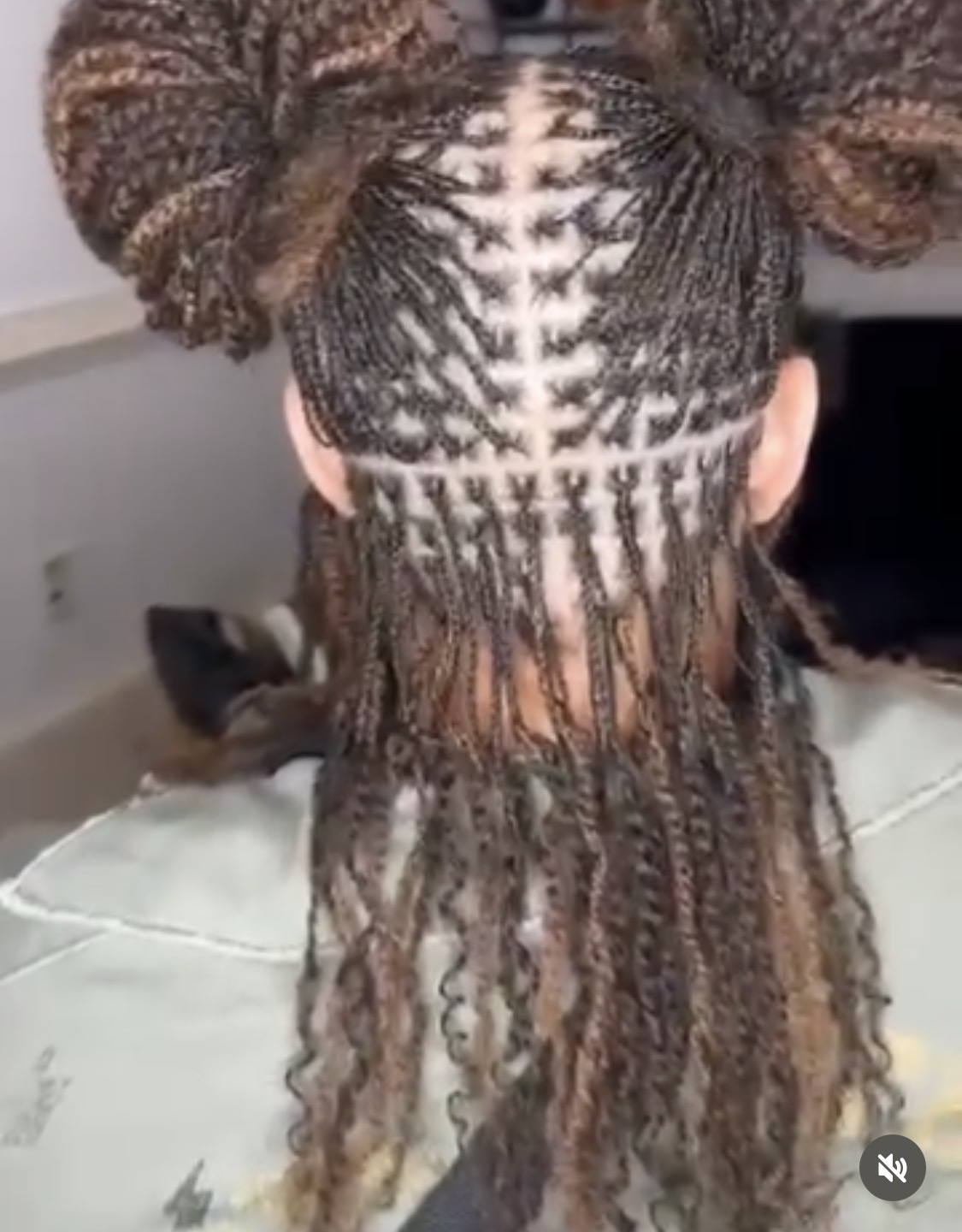 Micro braids styled into double buns by Amajoris
