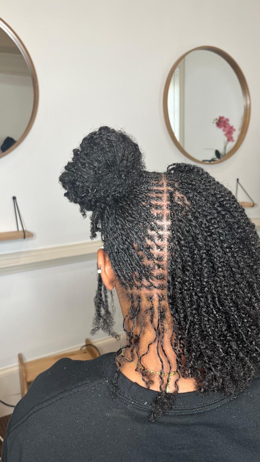 Mini twists gathered into a high bun, back view by Amajoris