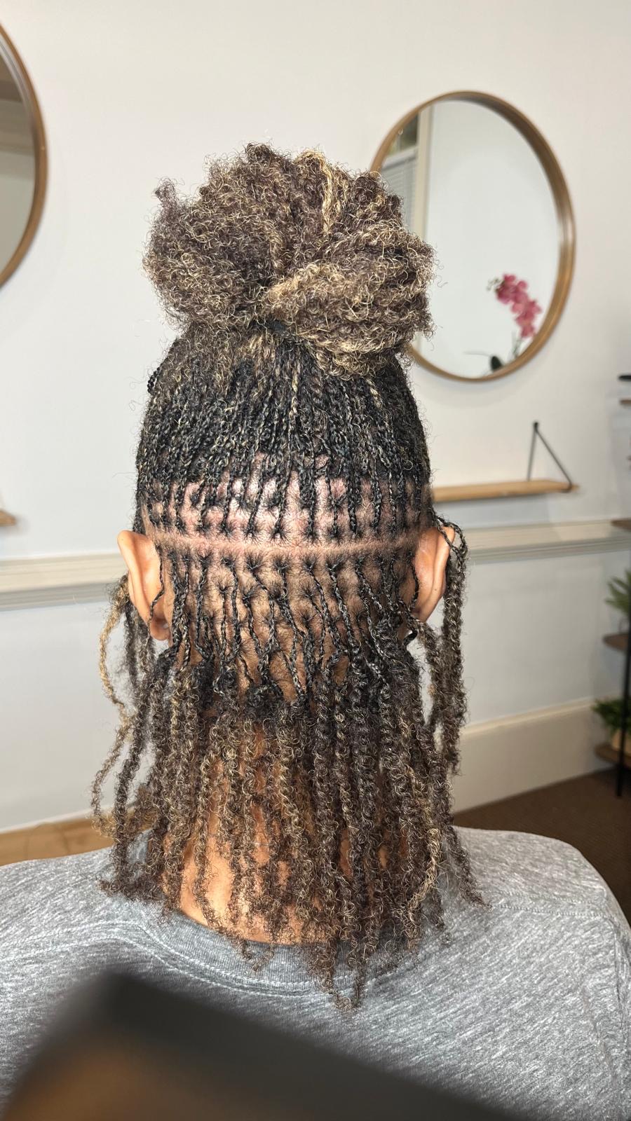 Honey-toned micro braids styled into a high bun by Amajoris